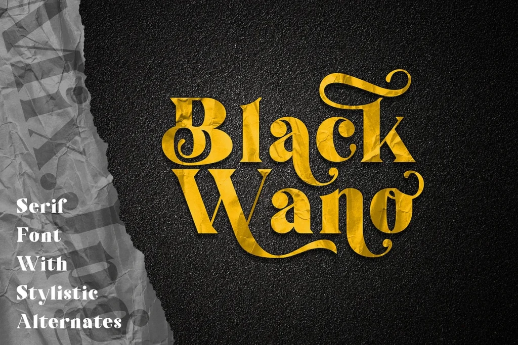 Black Wano Retro Soft Serif Font gallery image