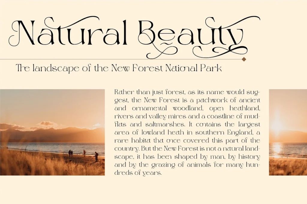Magero Luxury Font gallery image