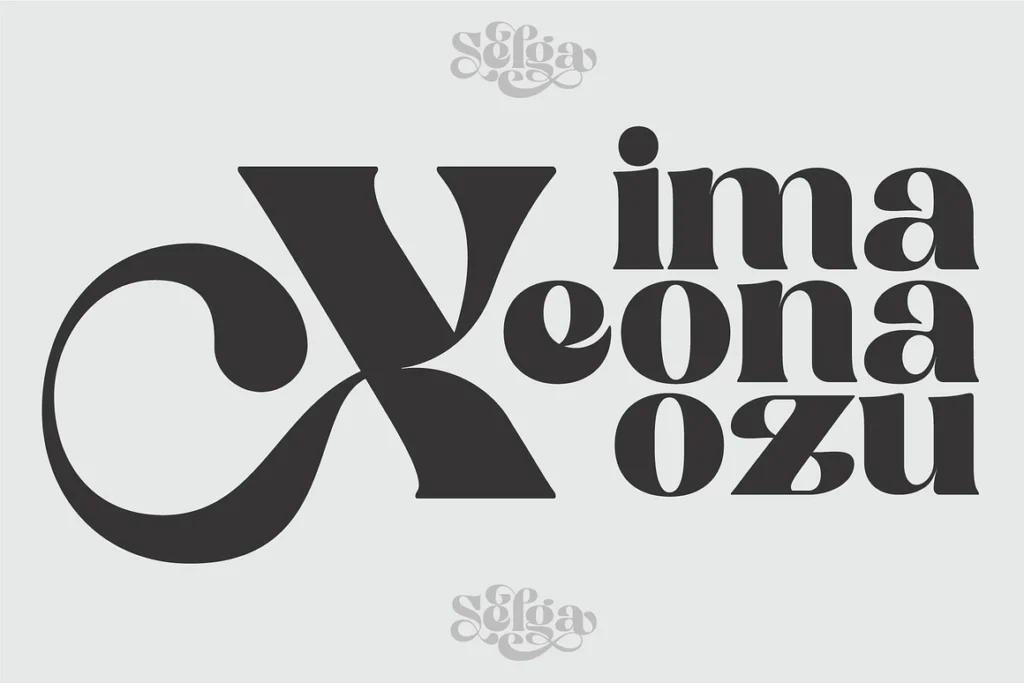 Selga Retro Display Font gallery image