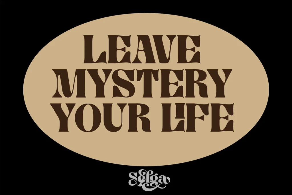 Selga Retro Display Font gallery image