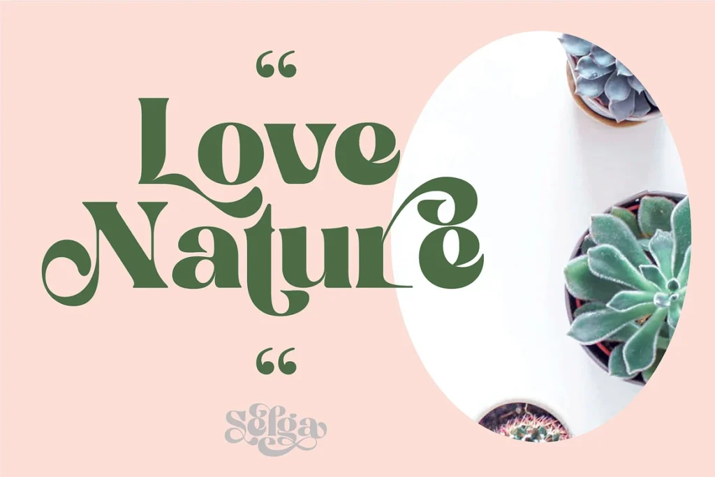 Selga Retro Display Font gallery image
