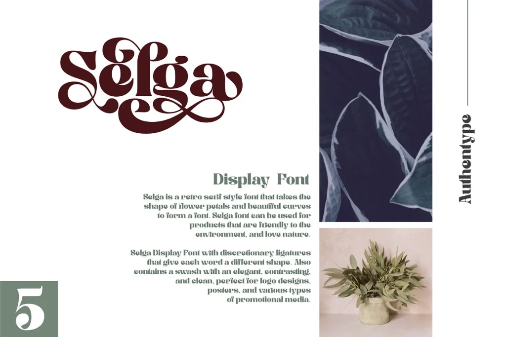Selga Retro Display Font gallery image