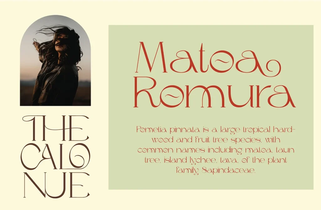 The Calonue Classic Elegant Font gallery image